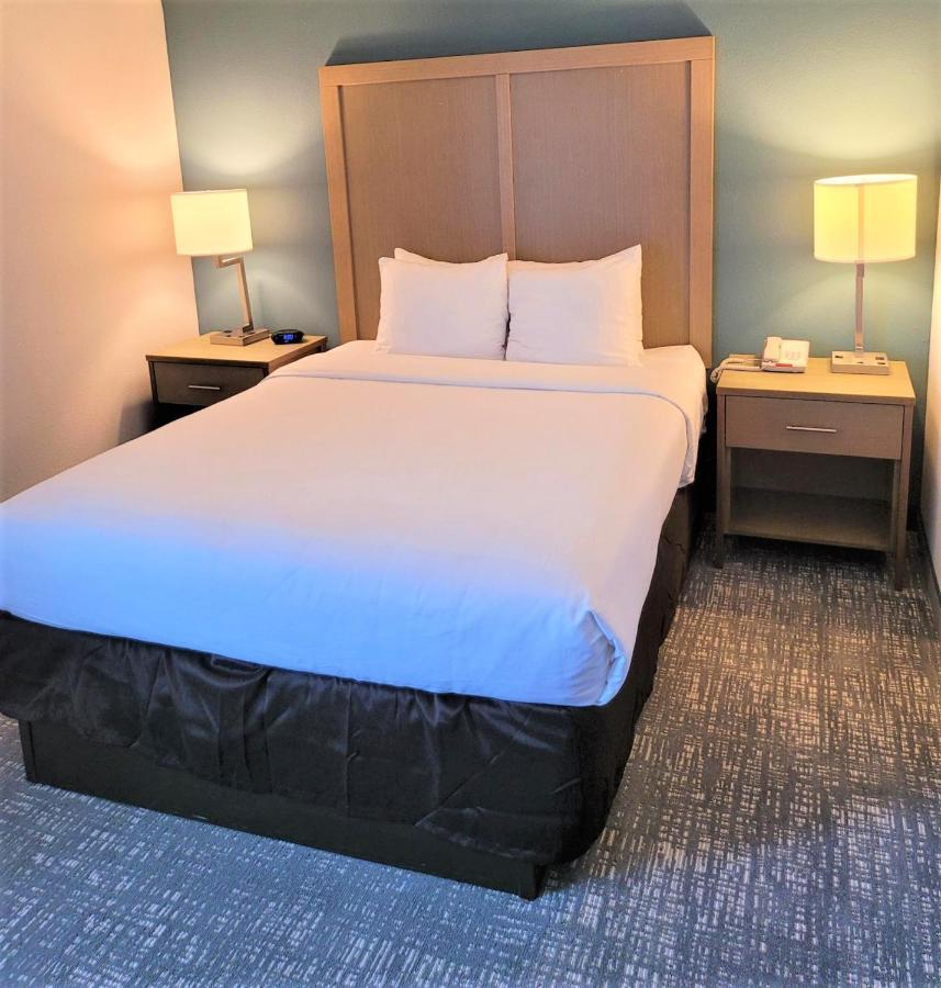 Comfort Inn & Suites Alexandria West Zewnętrze zdjęcie